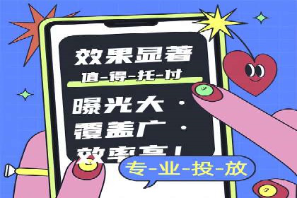 百度竞价代理技巧：经典成功案例解析